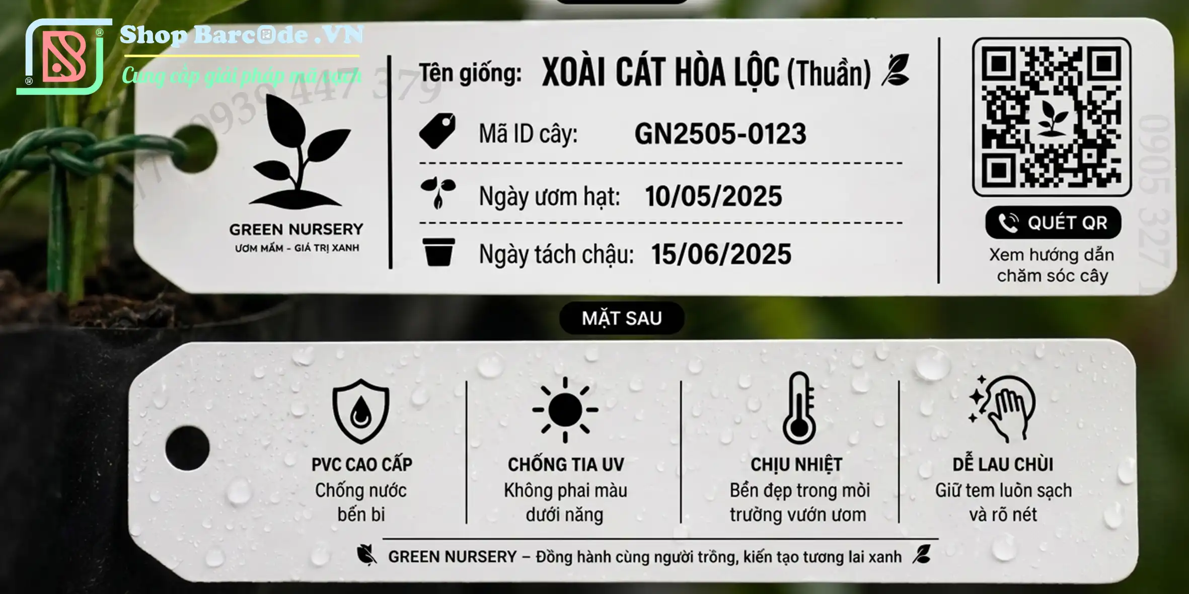 decal-PVC-100x30mm-làm-tem-nhãn-vườn-ươm-cây-giống