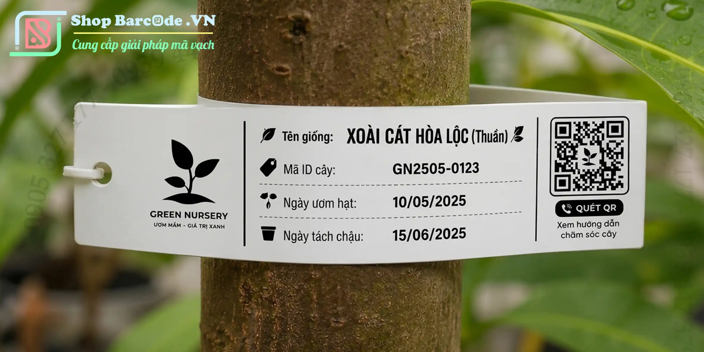 decal-PVC-100x30mm-làm-tem-nhãn-vườn-ươm-cây-giống